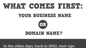 Business or domain Infographic