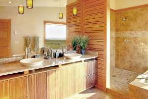 Shower and sinks in modern bathroom